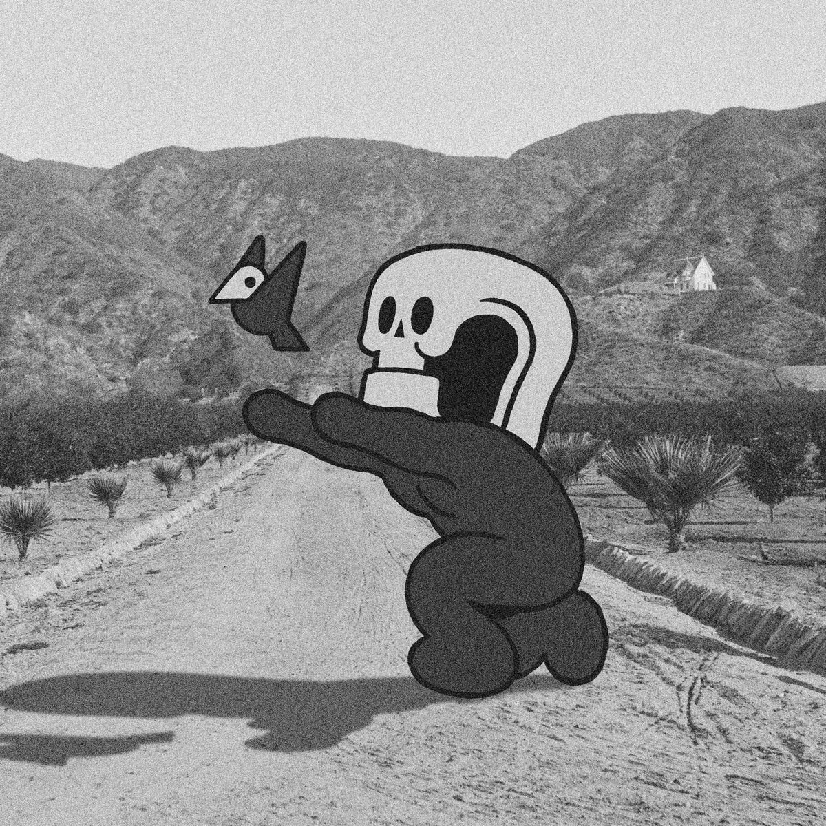 Sku sur une route de désert, en noir et blanc